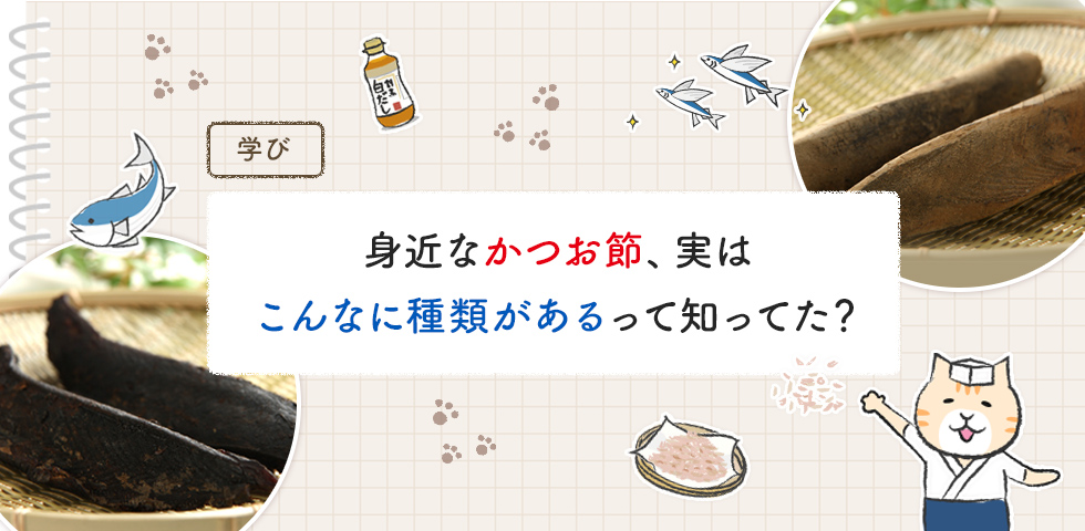 【第2回】身近なかつお節、実はこんなに種類があるって知ってた？